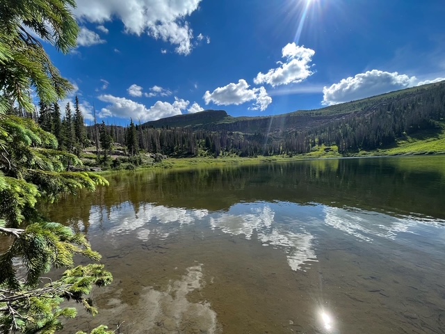 LET ME ASK YOU THIS . . . . 7/13 newsletter